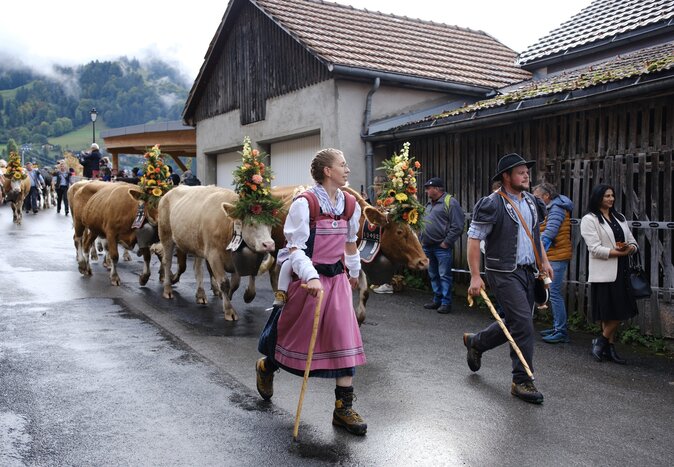 The Désalpe in Charmey sees dressed-up herds of cows descending from their Alpine pastures