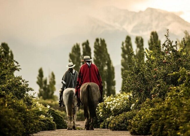 Explore the wine country of Mendoza from a luxury estate (photo courtesy of Cavas Wine Lodge)
