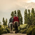 Explore the wine country of Mendoza from a luxury estate (photo courtesy of Cavas Wine Lodge)