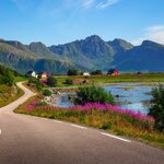 Experience the midnight sun during this 16-day road trip through Norway