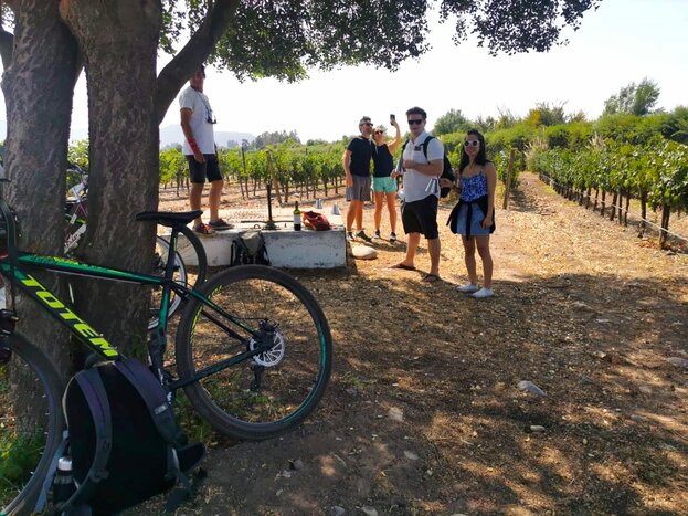 Private Bike Wine Tour - Maipo Valley