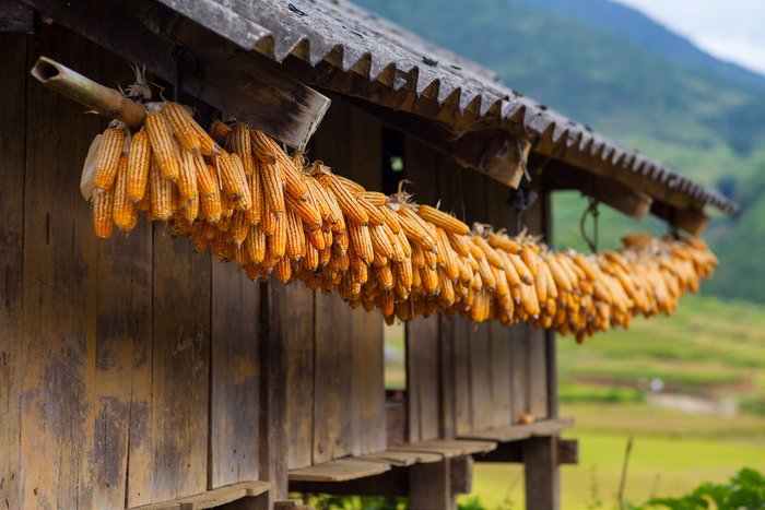 Hidden trails of Pu Luong (Don village)