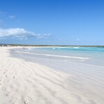 Enjoy a morning in the inviting waters of Tortuga Bay, Isla Santa Cruz 