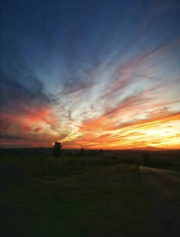 Tuscany Sunset Vespa Tour with Wine Tasting