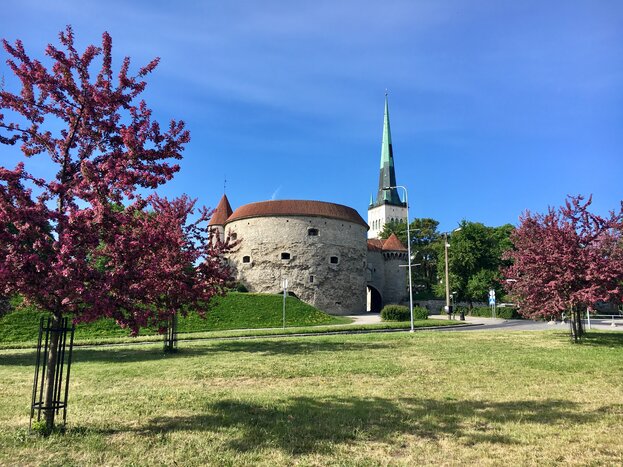 Tallinn Old Town Walking Tour