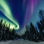 Go hunting for the northern lights in the Arctic wilderness