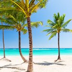 Crowds in Punta Cana begin to dissipate in April 