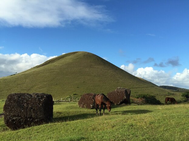Half Day tour - The Seven Explorers