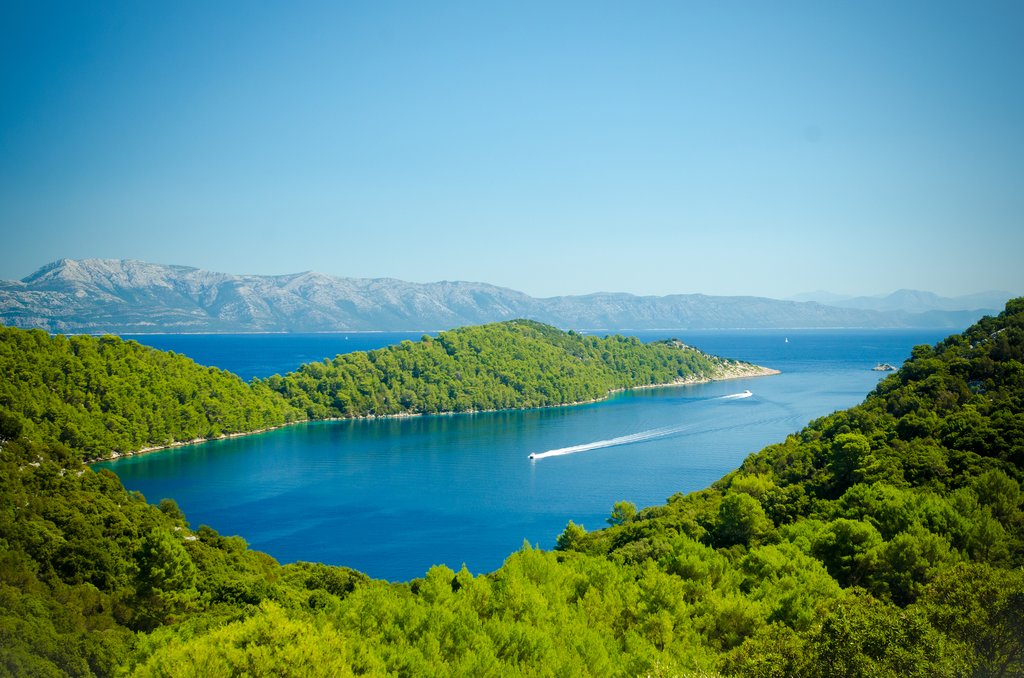 Mljet's coastline