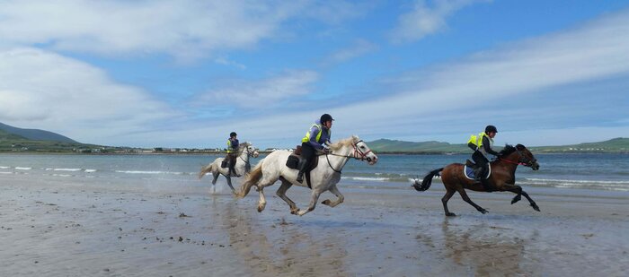 Horse Riding trek in Dingle Peninsula