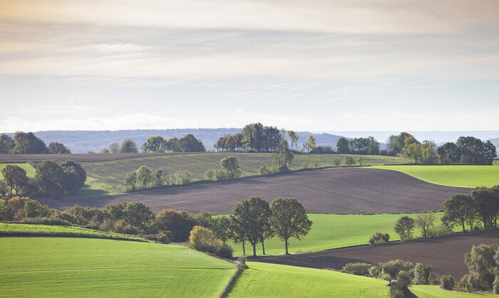 Rolling hills of Zuid-Limburg