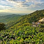 On a two-week adventure, you can combine Colombia's cities with beguiling regions like the Zona Cafetera