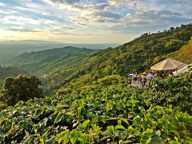 On a two-week adventure, you can combine Colombia's cities with beguiling regions like the Zona Cafetera