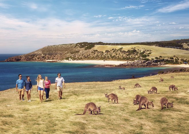 Kangaroo Island in a Day Tour from Adelaide 