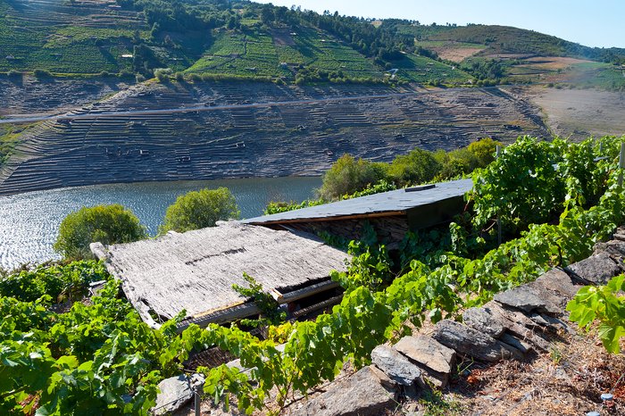Boat Tour of Ribeira Sacra