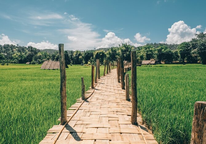Cross over rice fields and valleys on Su Tong Pae Bridge