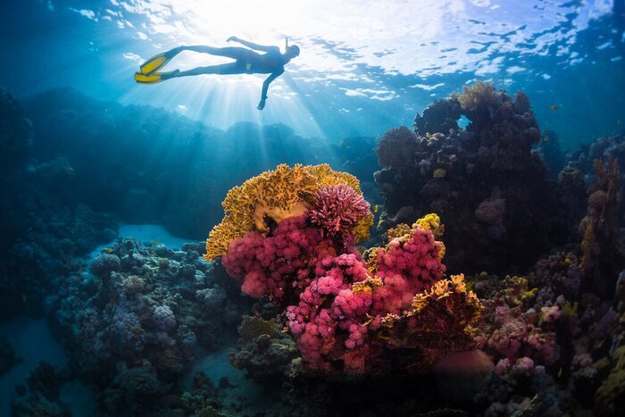 Go snorkeling among the reefs off Gitfun Island in the Red Sea on a highlights itinerary that also includes Jordan