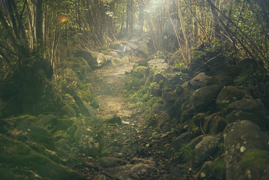 Great hiking trails in the Catalan hills