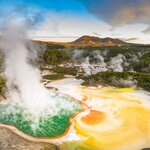 Discover geothermal landscapes in Rotorua