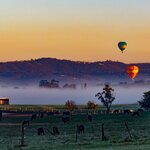 Sail in a hot-air balloon over Australia's Yarra Valley at sunrise
