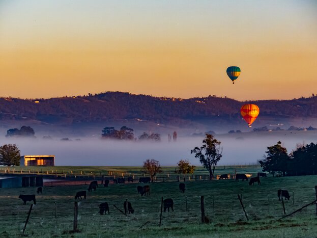 Sail in a hot-air balloon over Australia's Yarra Valley at sunrise