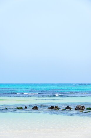 Jeju Island UNESCO Day Tour (East Course)