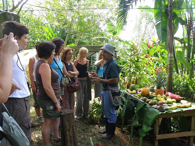 Organic Farm Tour with Lunch
