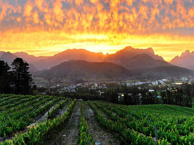 Cape Winelands Hiking -  Vistas & Vineyards