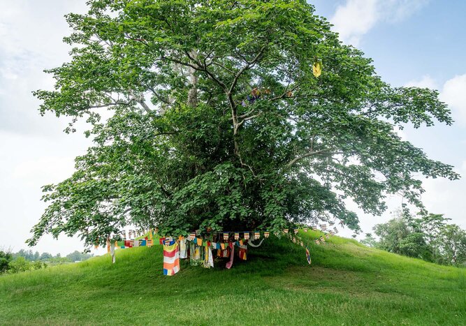 Visit Historical Site of Ramgram 