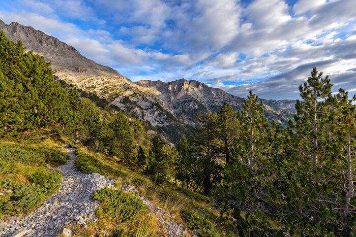 Private Dion & Mount Olympus Day Trip