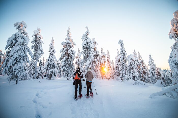 Snowshoeing Experience