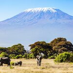 Kilimanjaro