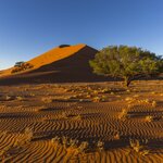 Sand patterns in Namibia's Kalahari Desert 