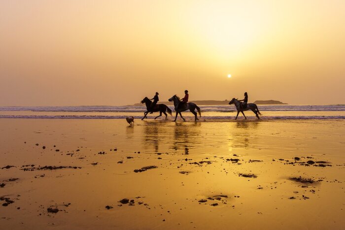 Horseback Riding on the Beach of Essaouira