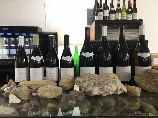 Sancerre Wine Tour (Private/8Hours)