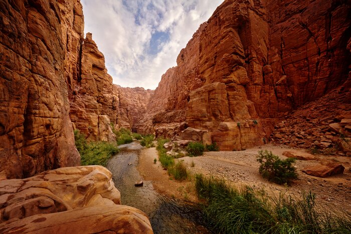 Discover Wadi Mujib on a highlights or hiking-forward itinerary that has you taking a refreshing dip in the biosphere's waters