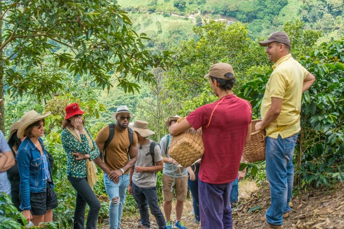 Half-Day Coffee Farm Tour