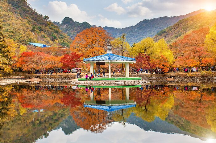 Full Day Naejangsan National Park Hiking - Baekyangsa and  Sangwangbong 