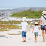 Hop between two islands as you explore the nature and wildlife of the Galápagos