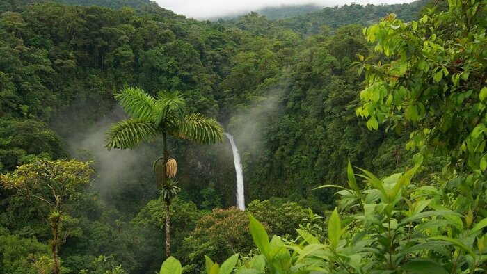 Private La Fortuna Waterfall Hike with Lunch