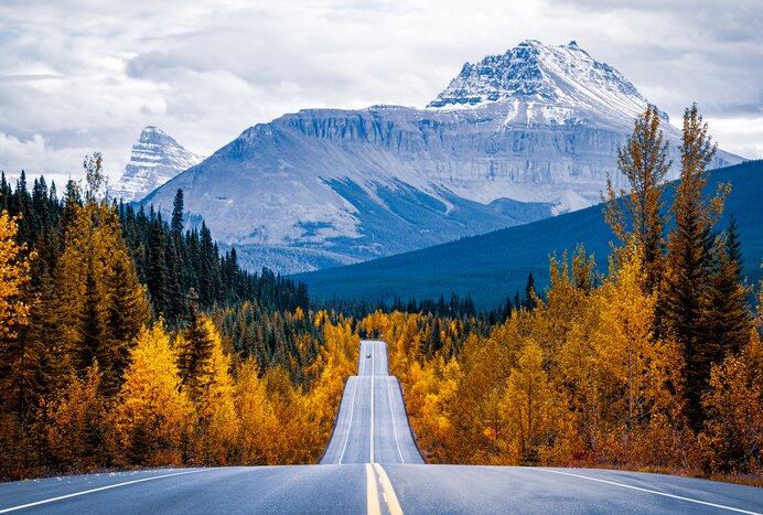 Scenic Icefields Parkway with fall foliage near Jasper in Alberta, Canada