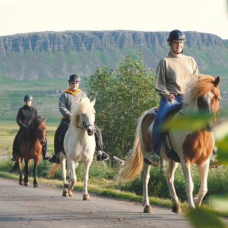 Sturlureykir Horses Riding Tour