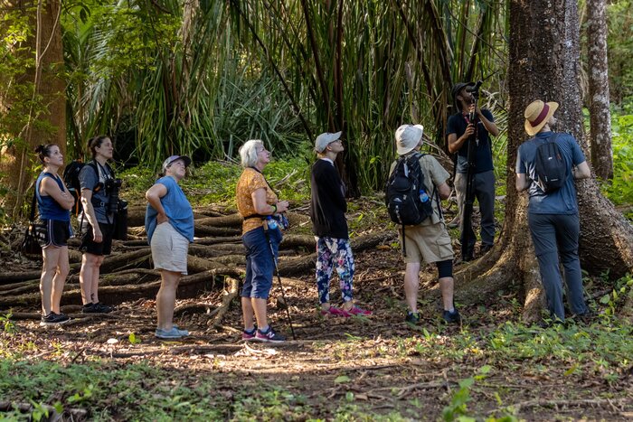 Your expert guide will make sure you don't miss any of the forests' unique flora and fauna (photo courtesy of  Sámara Adventures)