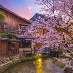 Walk along the Shirakawa River in Kyoto