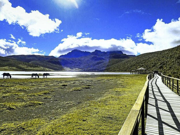 Feel the freedom of the open road as you navigate through Ecuador
