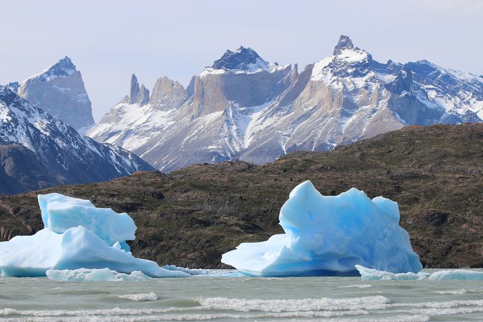 Full Day Private tour -  Visit Grey Glacier and Hike to Paine Grande