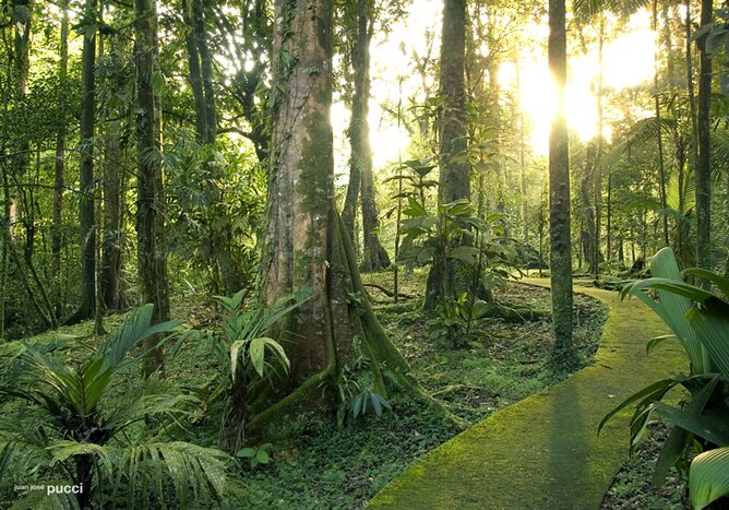 Half-Day Nature Hike at La Selva