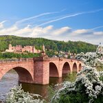 The southwestern town of Heidelberg kicks into spring in April