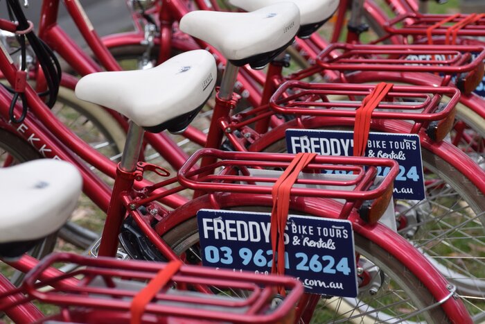 Bike Tour - Classic Melbourne City