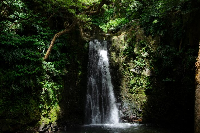 Optional Activities in the Cloud Forest